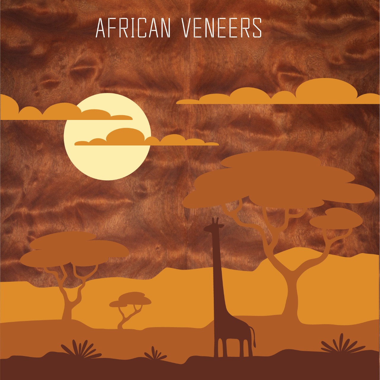 The African Collection