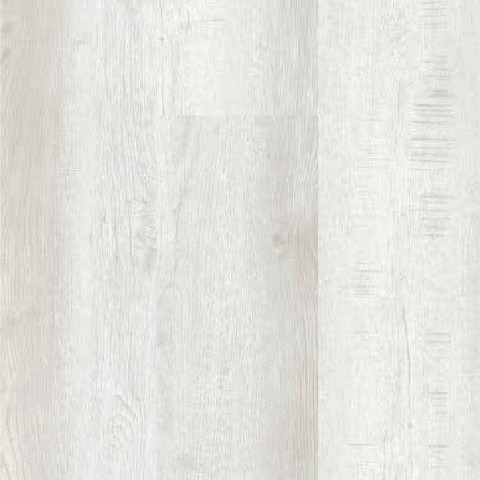 BOSTON OAK WHITE