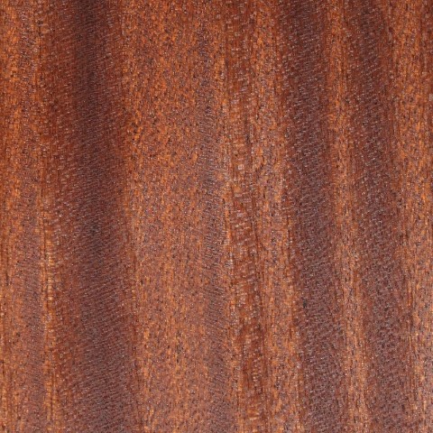 AFRICAN SAPELI