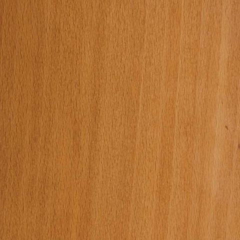 EUROPEAN STEAM BEECH