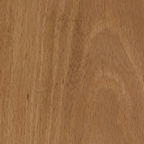 EUROPEAN WHITE BEECH